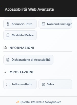 Un widget di accessibilità professionale
